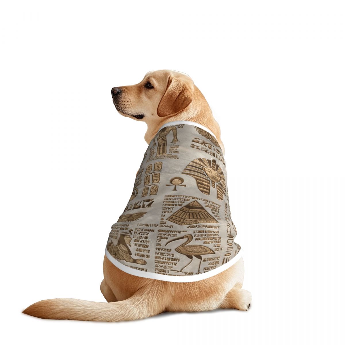 Pet Supplies Egypt - エジプト象形文字と神々ペットベストジャケット通気性エジプトファラオ大型犬服装飾ペット用品
