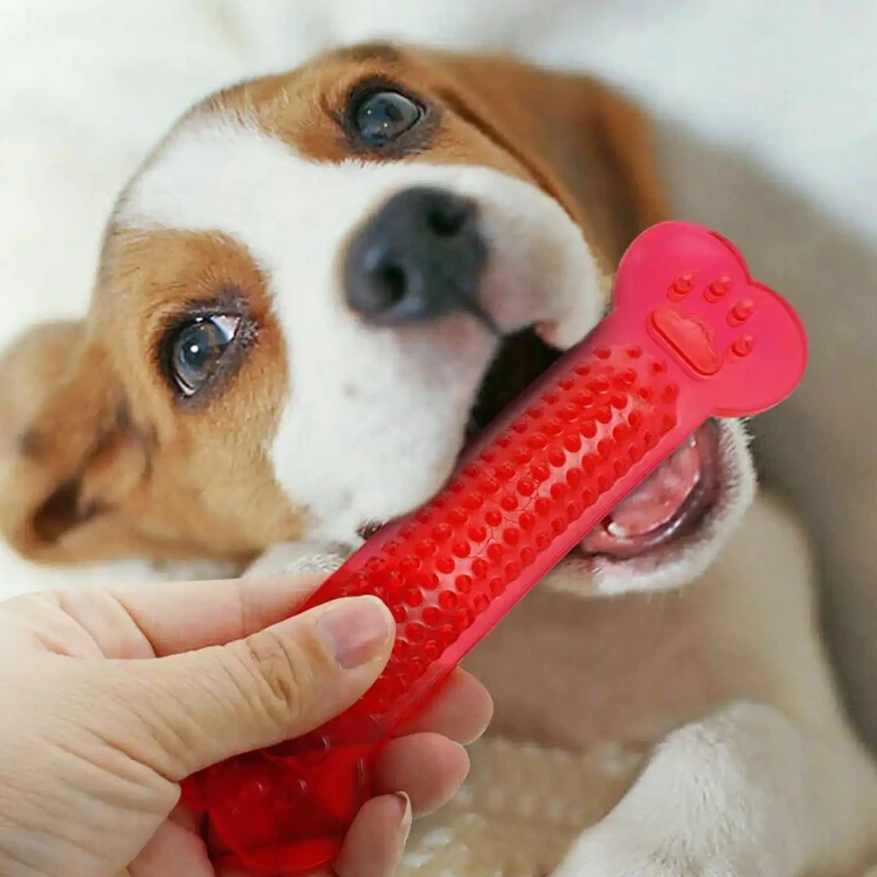 超タフな犬の骨咀嚼おもちゃレインボー積極的な咀嚼子犬の歯のク - Training Clicker Dog のレビューと価格