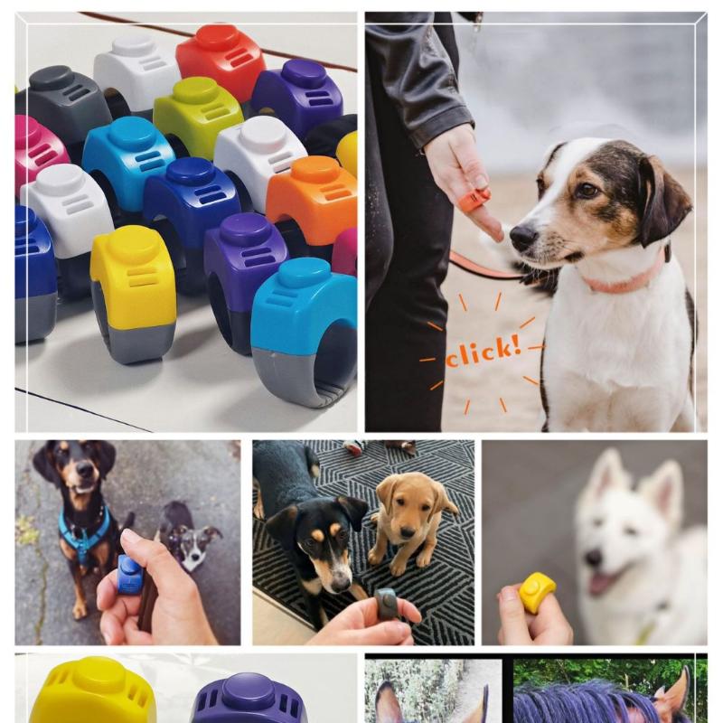 新しいリングクリッカーペットミニフィンガークリッカートレーニ - Training Clicker Dog のレビューと価格