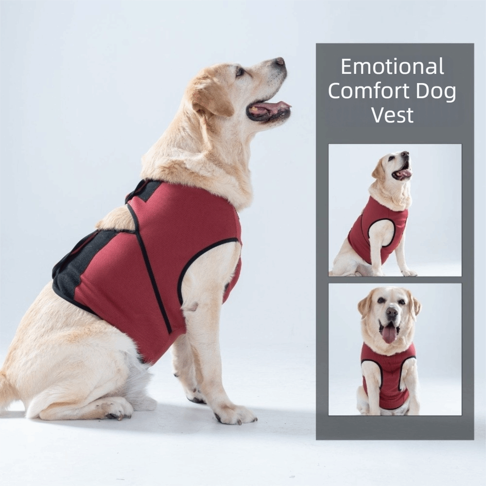 通気性のある犬用落ち着きベスト、調節可能な快適な犬用不安解消 - Dog Anxiety Vest のレビューと価格